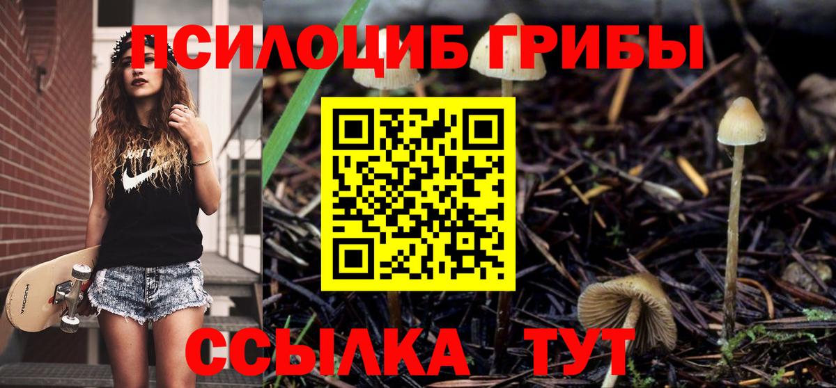Киреевск  Псилоцибиновые грибы Psilocybe  Галлюциногенные грибы Cubensis  Вход с VPN 